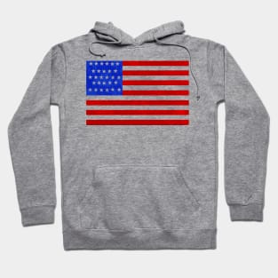 'Merican flag Hoodie